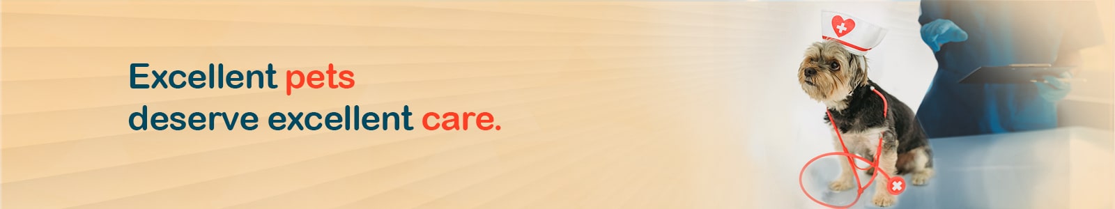 Home page banner-5-min